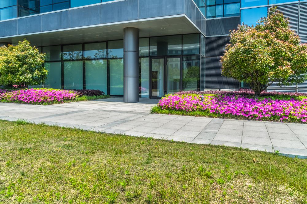 Commercial Lawn Cleanup Service