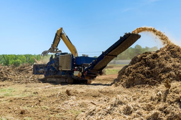 Forestry Clearing