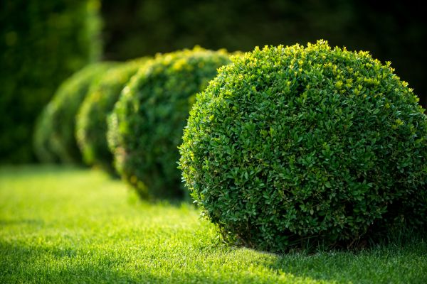 Brick Landscaping Service