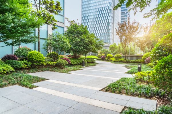 Commercial Landscape Curbing