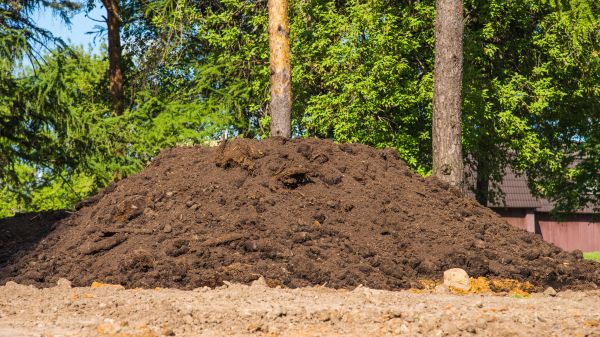Dirt Filling