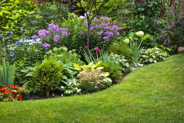 Flower Bed Creation