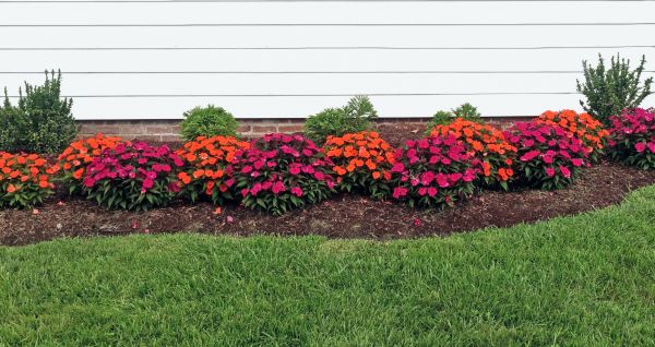 Flower Bed Care