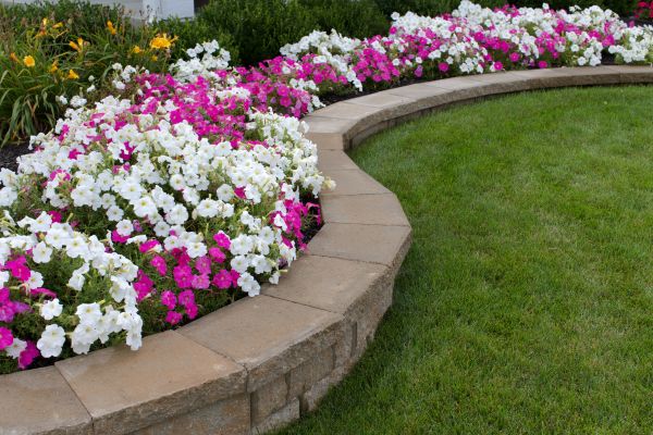 Garden Restoration Service
