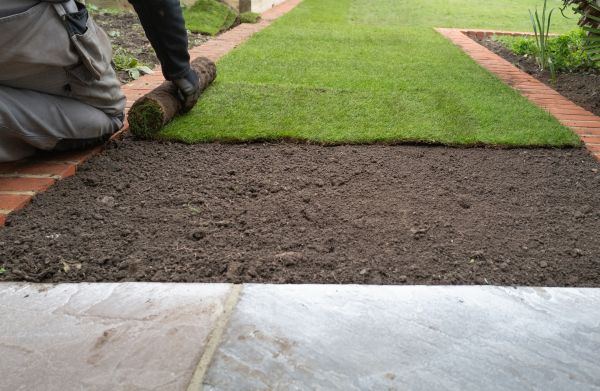Backyard Sodding