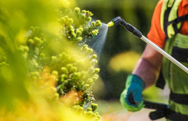 Garden Fertilizing
