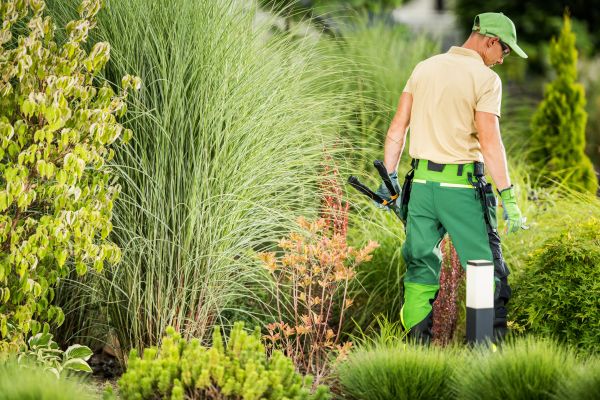 Landscape Repair Service - Landscape Repair Service Rockwall, Texas