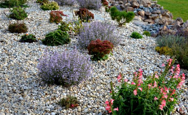 Landscape Redesign