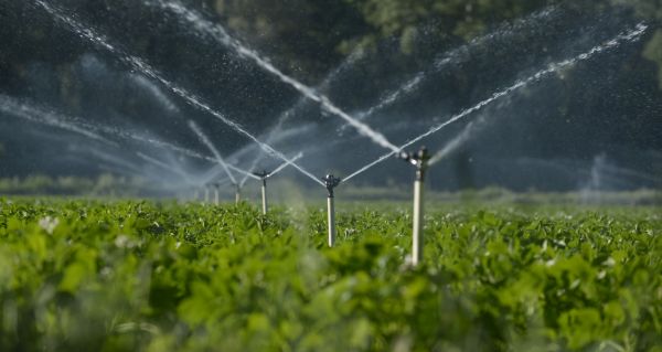 Land Irrigation Installation