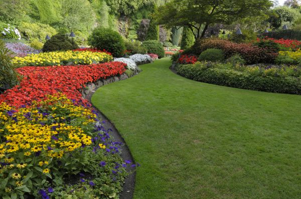 Artificial Lawn Maintenance