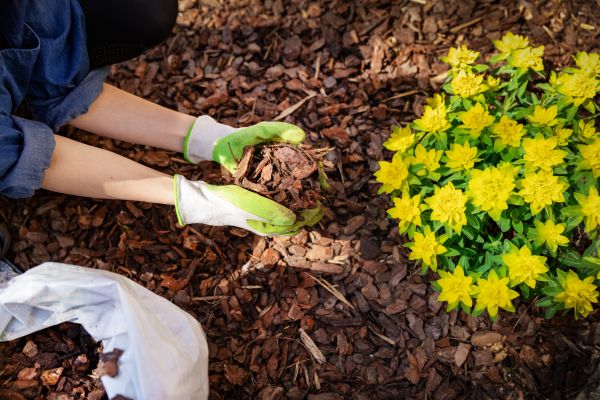 Backyard Mulching