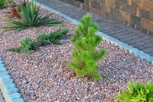 Landscape Rock Design