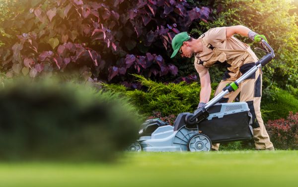 Lawn Care And Maintenance - Lawn Care And Maintenance Galveston County, Texas