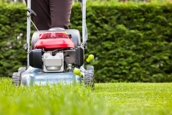 Lawn Mowing And Landscaping