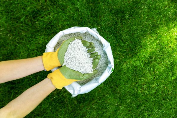 Lawn Renewal