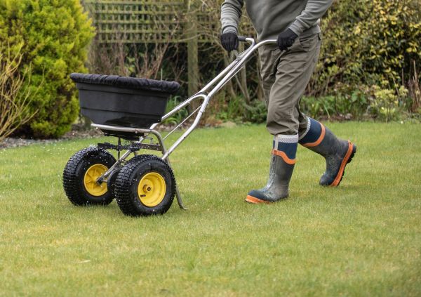 Lawn Restoration Service