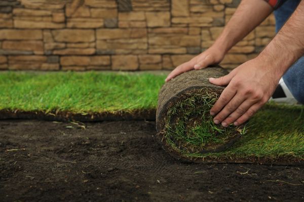 Bluegrass Sod Installation