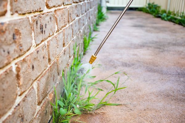 Chemical Weed Treatment