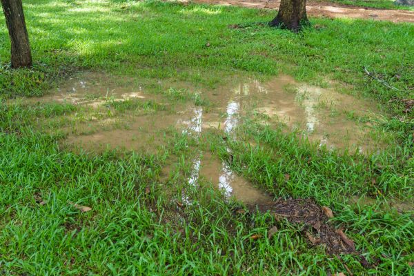 Muddy Yard Drainage Installation - Muddy Yard Drainage Installation Navarre, Florida