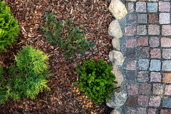 Cedar Mulch Spreading