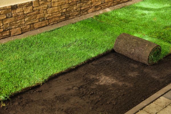 Bahia Sod Installation