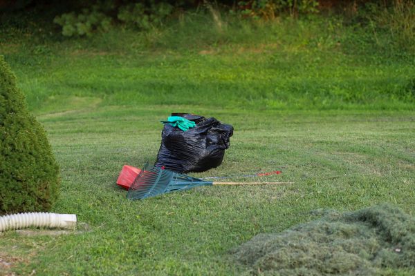 Overgrown Yard Cleanup Service