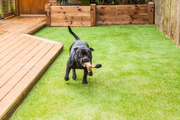 Artificial Lawn Installation