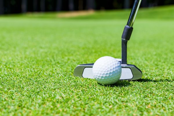 Home Putting Green Install