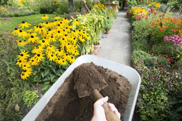 Top Soil Delivery