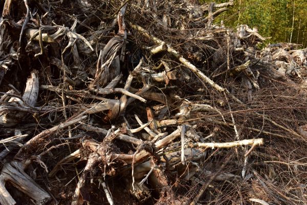 Brush Pile Removal