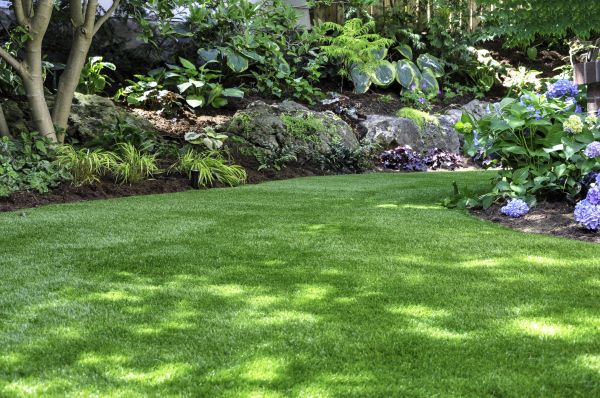 Garden Bed Care