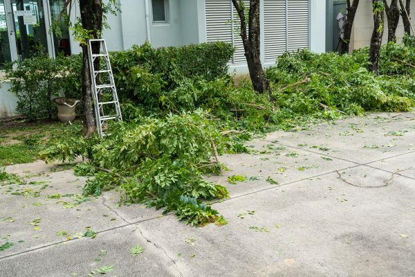 Lawn Care