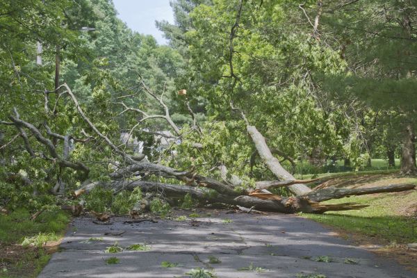 Debris Cleanup