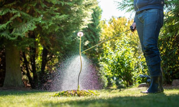 Weed Spraying - Weed Spraying Myrtle Beach, South Carolina