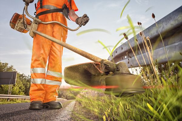 Weed Abatement