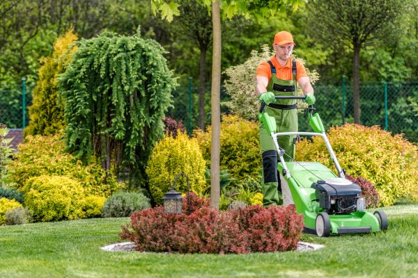 Weekly Lawn Maintenance - Weekly Lawn Maintenance New Orleans, Louisiana