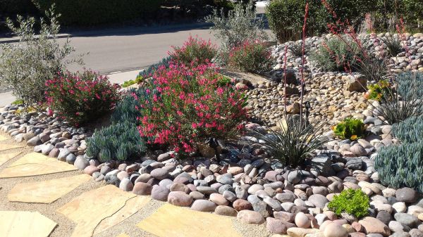 Xeriscape Landscaping Service - Xeriscape Landscaping Service Cheyenne, Wyoming