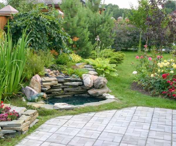 Backyard Land Regrading