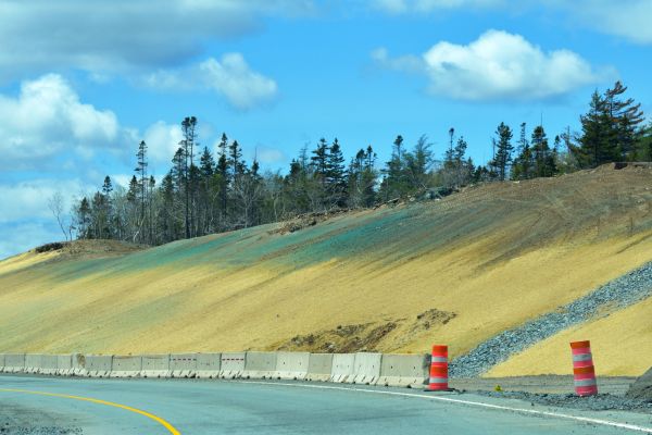 Ground Hydroseeding