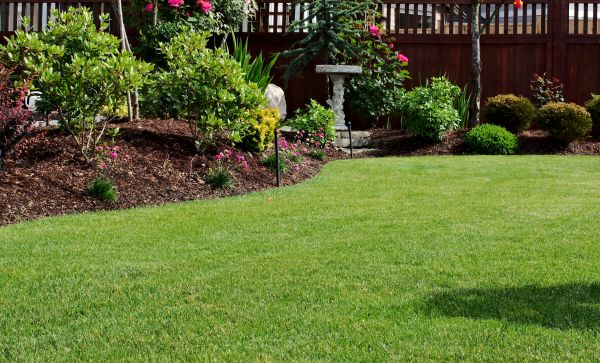 Lawn And Garden Service