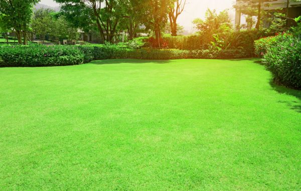Turf Removal Service