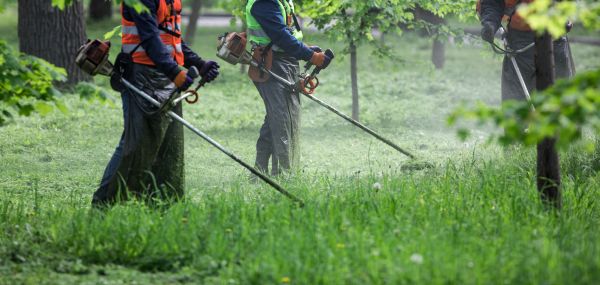 Grass Weed Trimming