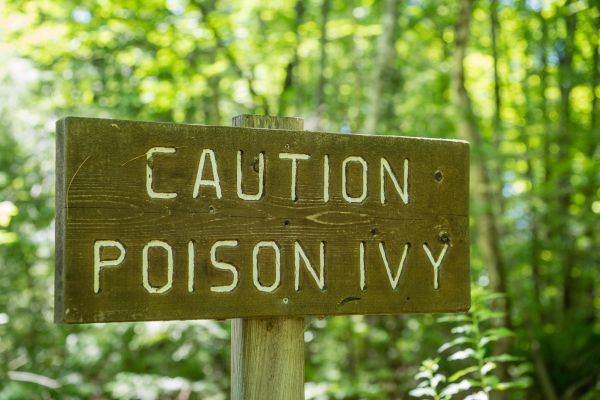 Poison Ivy Treatment