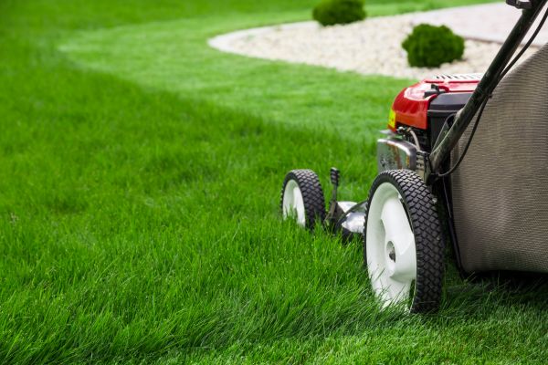 Biweekly Yard Mowing