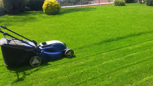 Grass Cutting Services