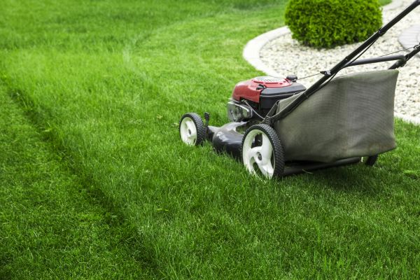Lawn And Landscape Maintenance
