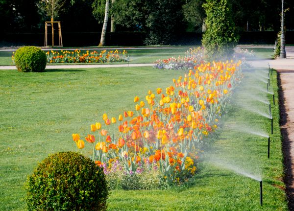 Landscape Sprinkler Repair