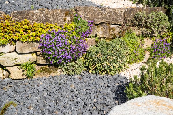 Landscape Rocks Installation