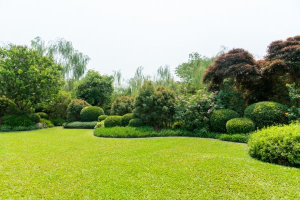Lawn Renewal