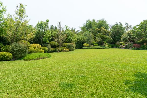 Landscape Cleaning - Landscape Cleaning Syracuse, New York